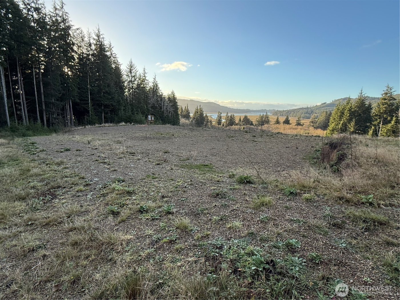 92 Dionne Lane , Naselle, WA 98638