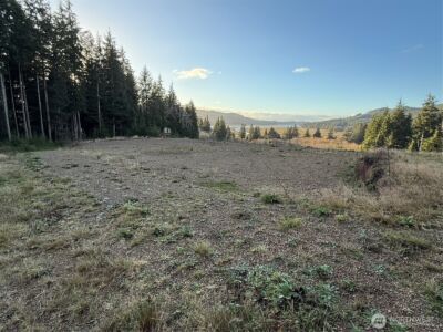 92 Dionne Lane , Naselle, WA 98638 - Photo 6