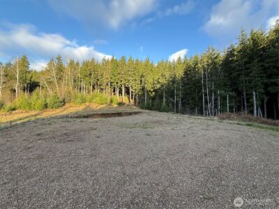 92 Dionne Lane , Naselle, WA 98638 - Photo 7