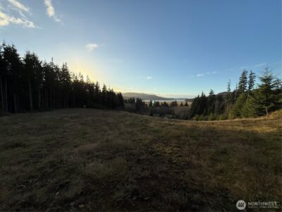 92 Dionne Lane , Naselle, WA 98638 - Photo 9