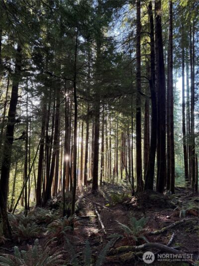 70 Dionne Lane , Naselle, WA 98638 - Photo 11