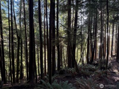 70 Dionne Lane , Naselle, WA 98638 - Photo 12