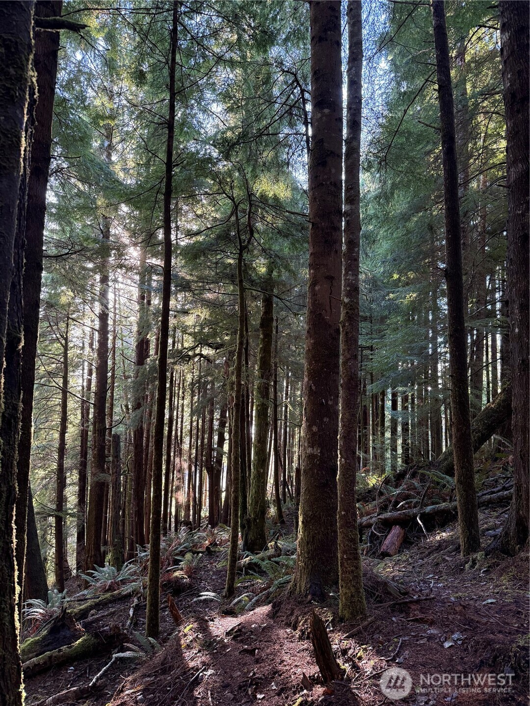 70 Dionne Lane , Naselle, WA 98638