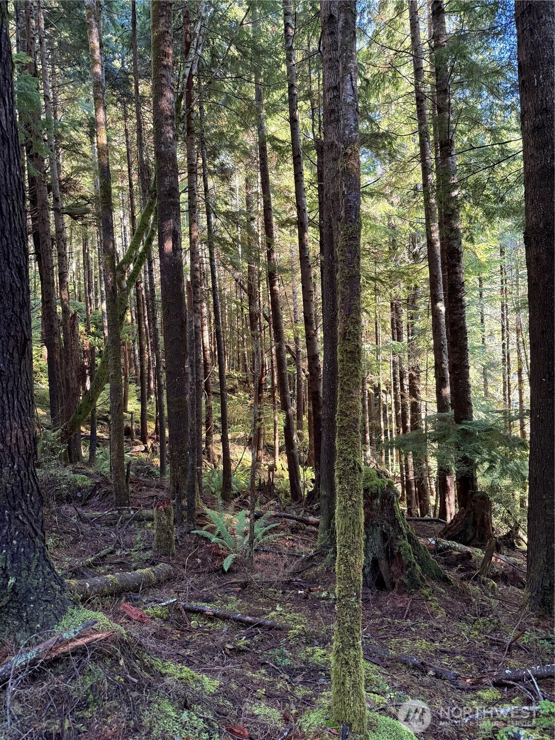 70 Dionne Lane , Naselle, WA 98638