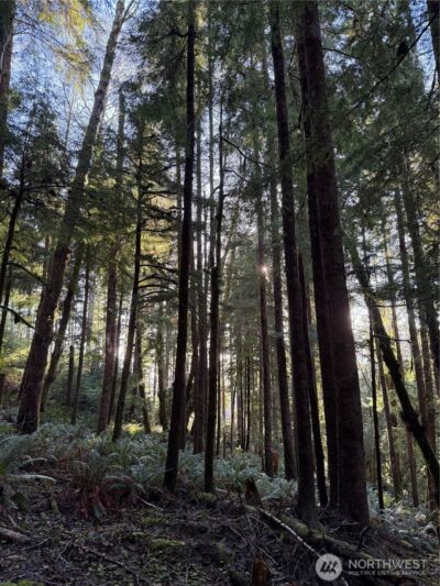 70 Dionne Lane , Naselle, WA 98638 - Photo 16