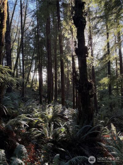 70 Dionne Lane , Naselle, WA 98638 - Photo 17