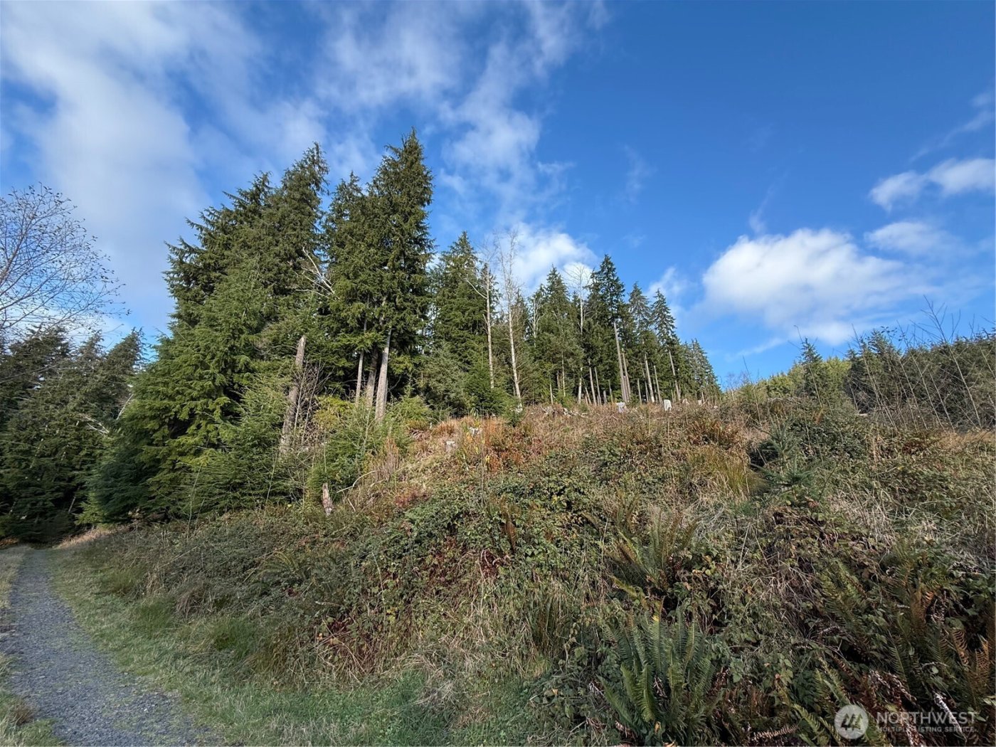 70 Dionne Lane , Naselle, WA 98638