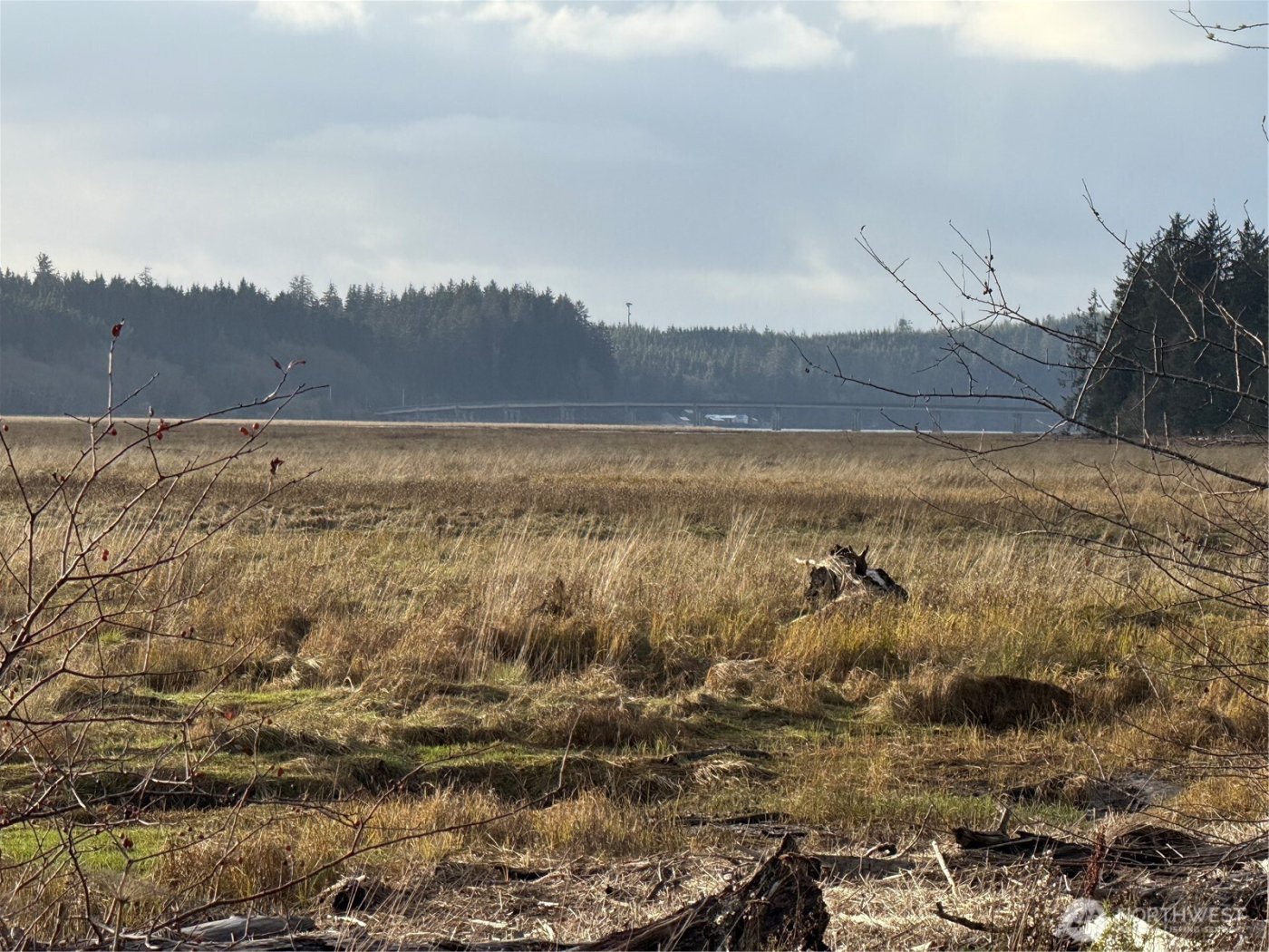 70 Dionne Lane , Naselle, WA 98638