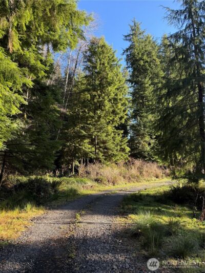 70 Dionne Lane , Naselle, WA 98638 - Photo 3