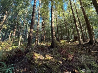 70 Dionne Lane , Naselle, WA 98638 - Photo 4