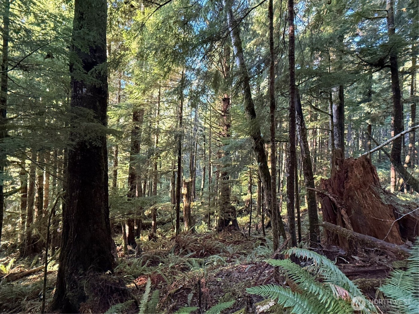 70 Dionne Lane , Naselle, WA 98638