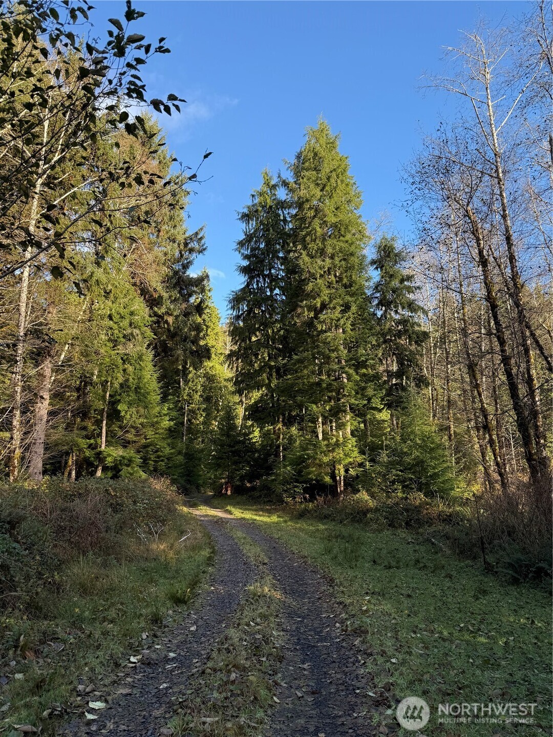 70 Dionne Lane , Naselle, WA 98638