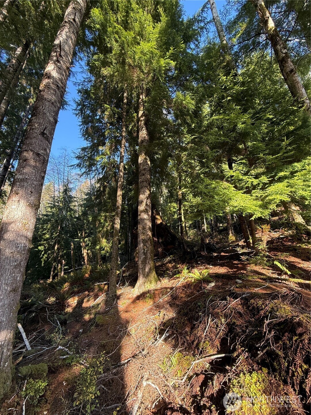 70 Dionne Lane , Naselle, WA 98638