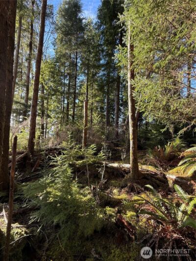 70 Dionne Lane , Naselle, WA 98638 - Photo 9