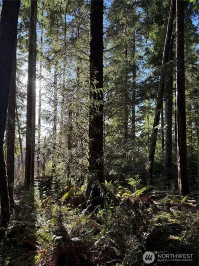 70 Dionne Lane , Naselle, WA 98638 - Photo 10