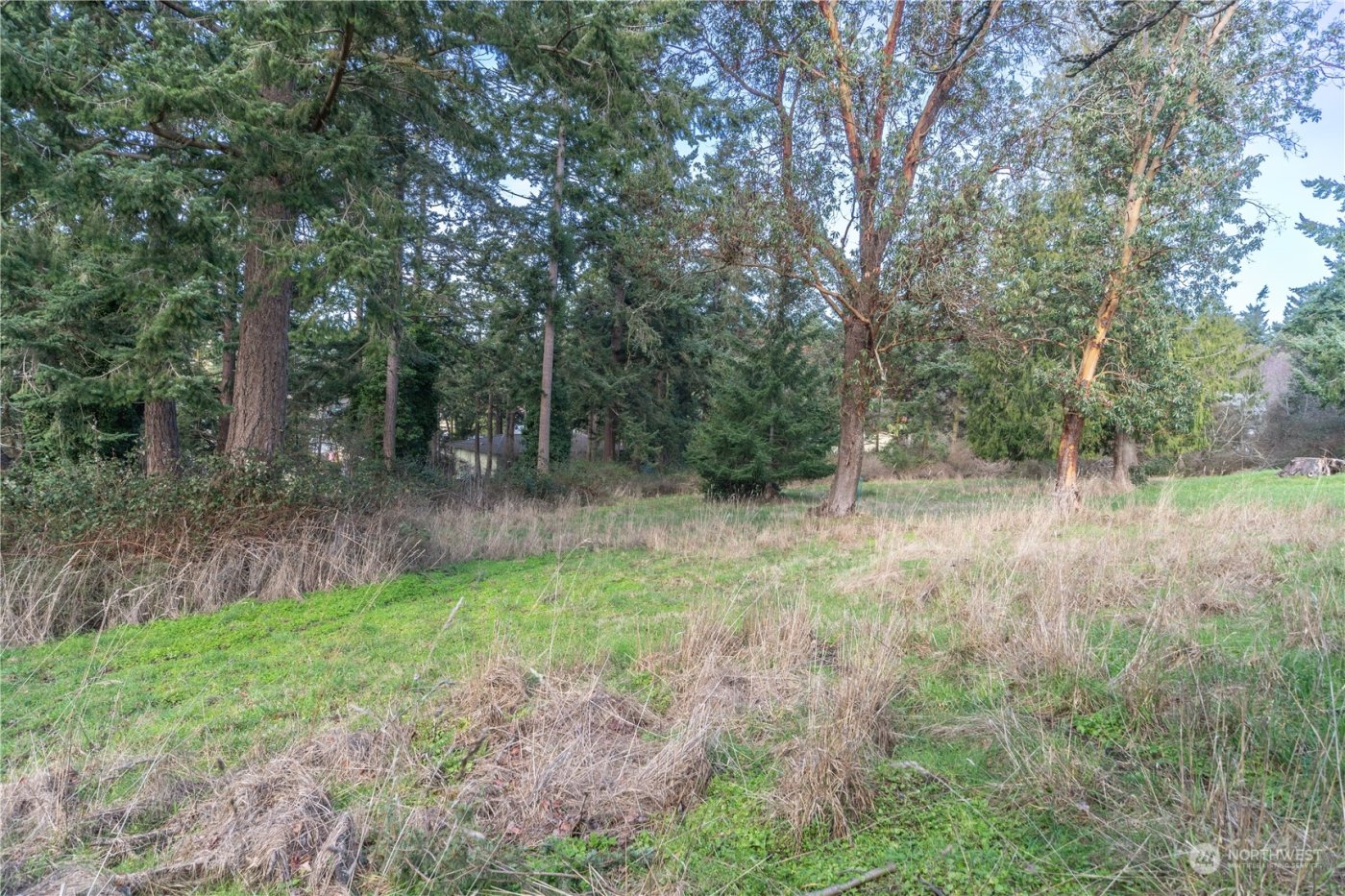 1431 Beech Street , Port Townsend, WA 98368