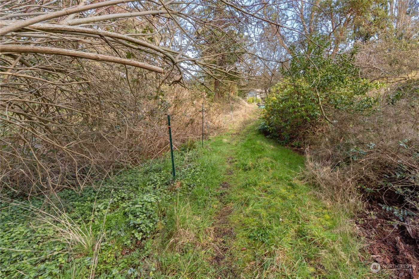 1431 Beech Street , Port Townsend, WA 98368