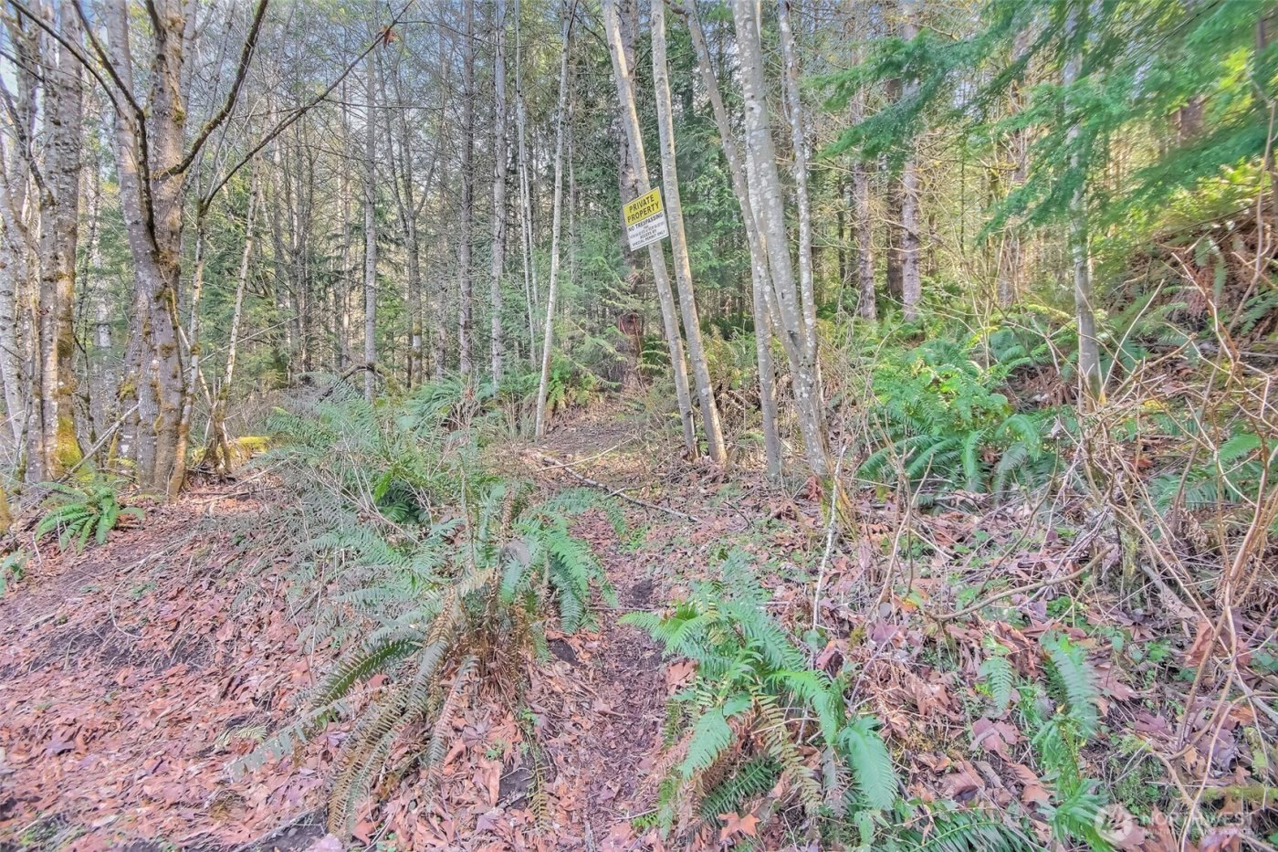 0 X SE 477th Street , Enumclaw, WA 98022