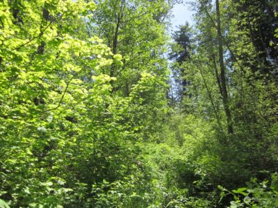 20633 SE 388th Street , Enumclaw, WA 98022