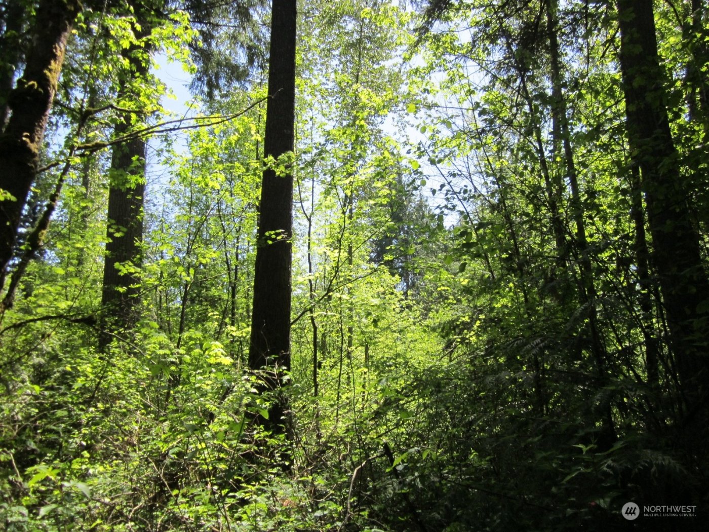 20633 SE 388th Street , Enumclaw, WA 98022