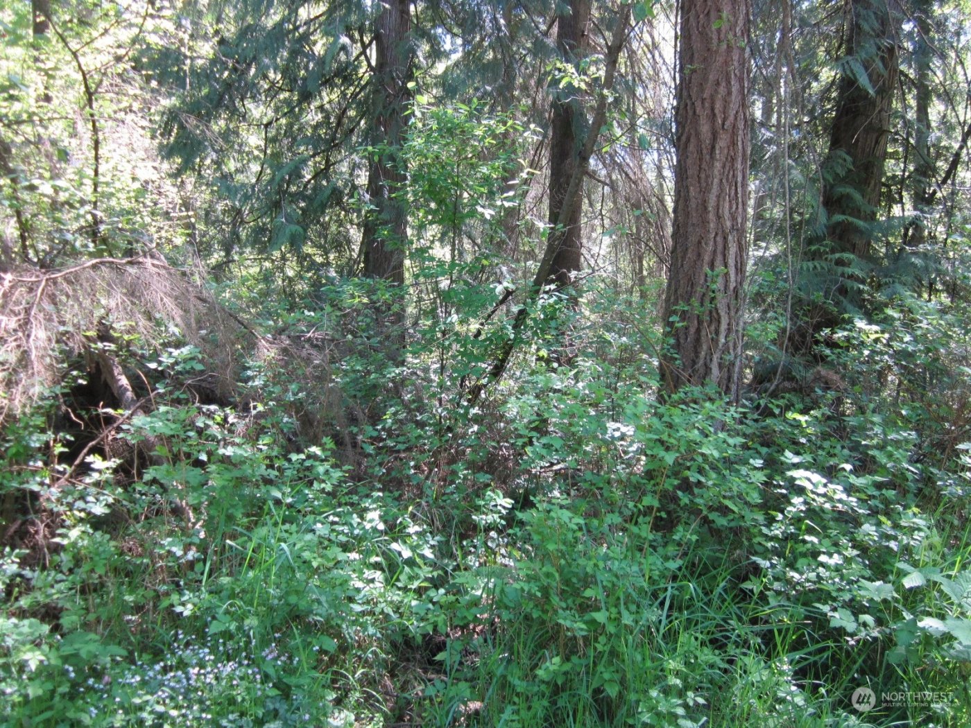 20633 SE 388th Street , Enumclaw, WA 98022