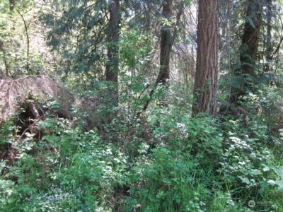 20633 SE 388th Street , Enumclaw, WA 98022 - Photo 6