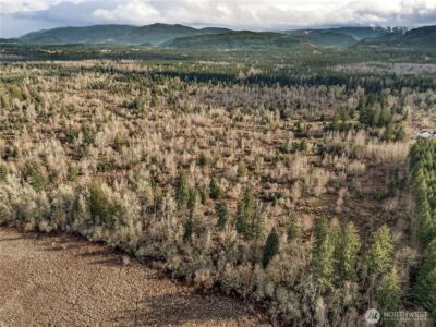 15301 Mcintosh Valley Lane SE, Yelm, WA 98597 - Photo 17