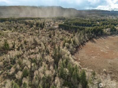 15301 Mcintosh Valley Lane SE, Yelm, WA 98597 - Photo 18