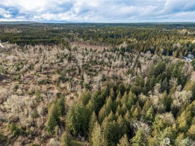 15301 Mcintosh Valley Lane SE, Yelm, WA 98597 - Photo 24