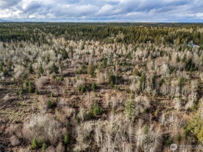 15301 Mcintosh Valley Lane SE, Yelm, WA 98597 - Photo 25