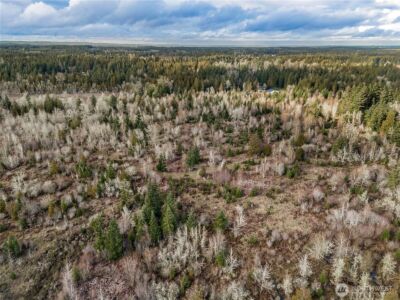 15301 Mcintosh Valley Lane SE, Yelm, WA 98597 - Photo 26