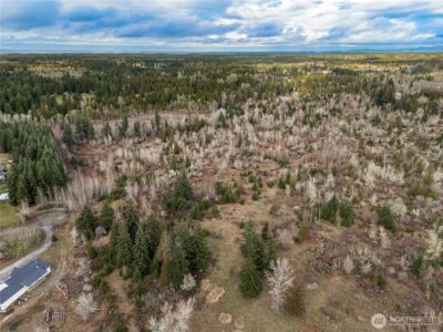 15301 Mcintosh Valley Lane SE, Yelm, WA 98597 - Photo 28