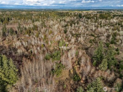 15301 Mcintosh Valley Lane SE, Yelm, WA 98597 - Photo 6