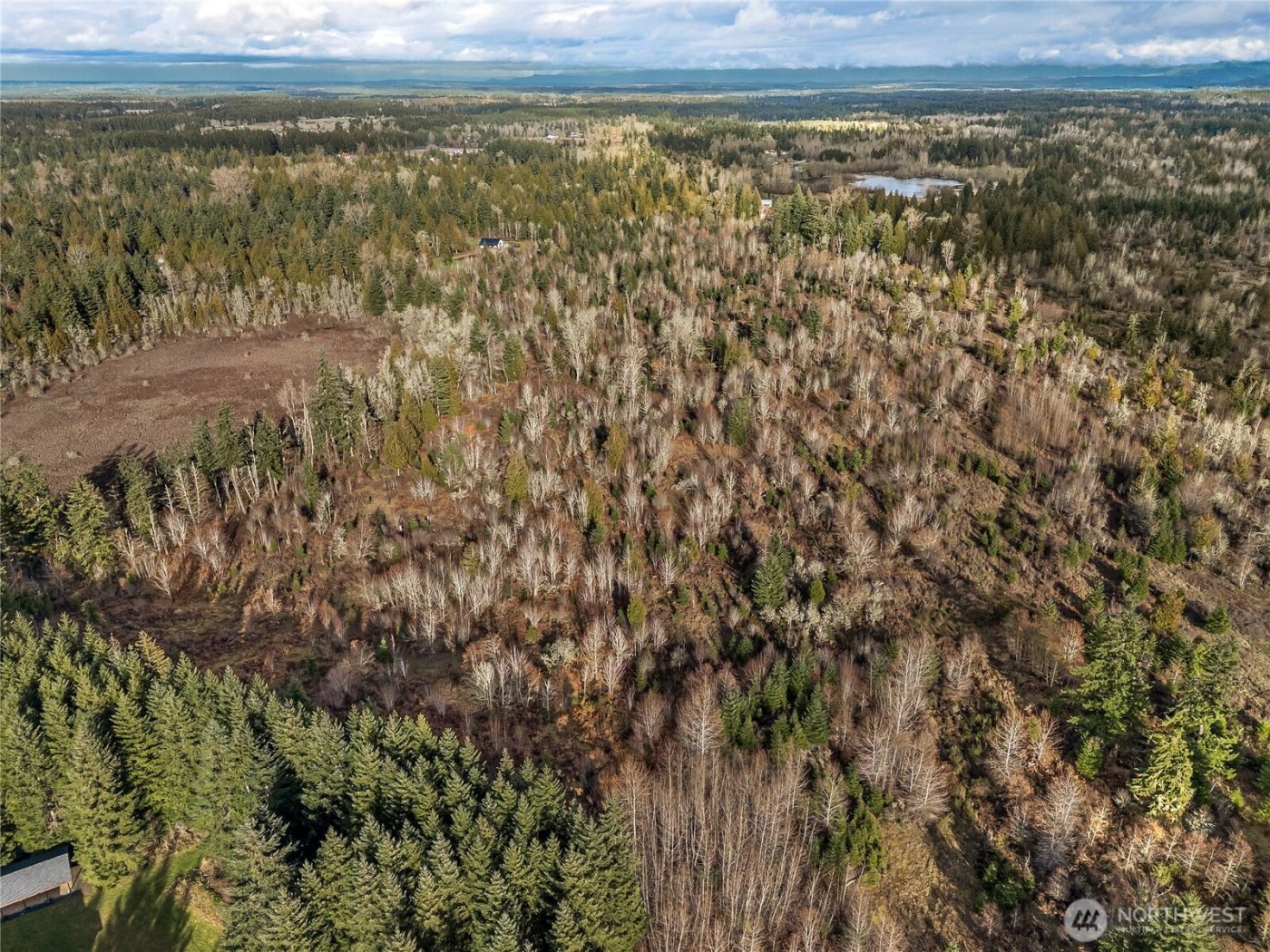 15301 Mcintosh Valley Lane SE, Yelm, WA 98597