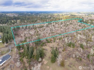 15301 Mcintosh Valley Lane SE, Yelm, WA 98597 - Photo 10