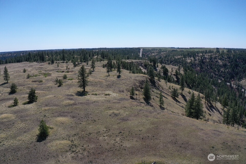 0 XXX Miles Creston Road N, Davenport, WA 99122