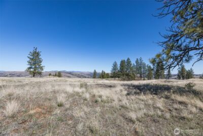 0 XXX Miles Creston Road N, Davenport, WA 99122 - Photo 12