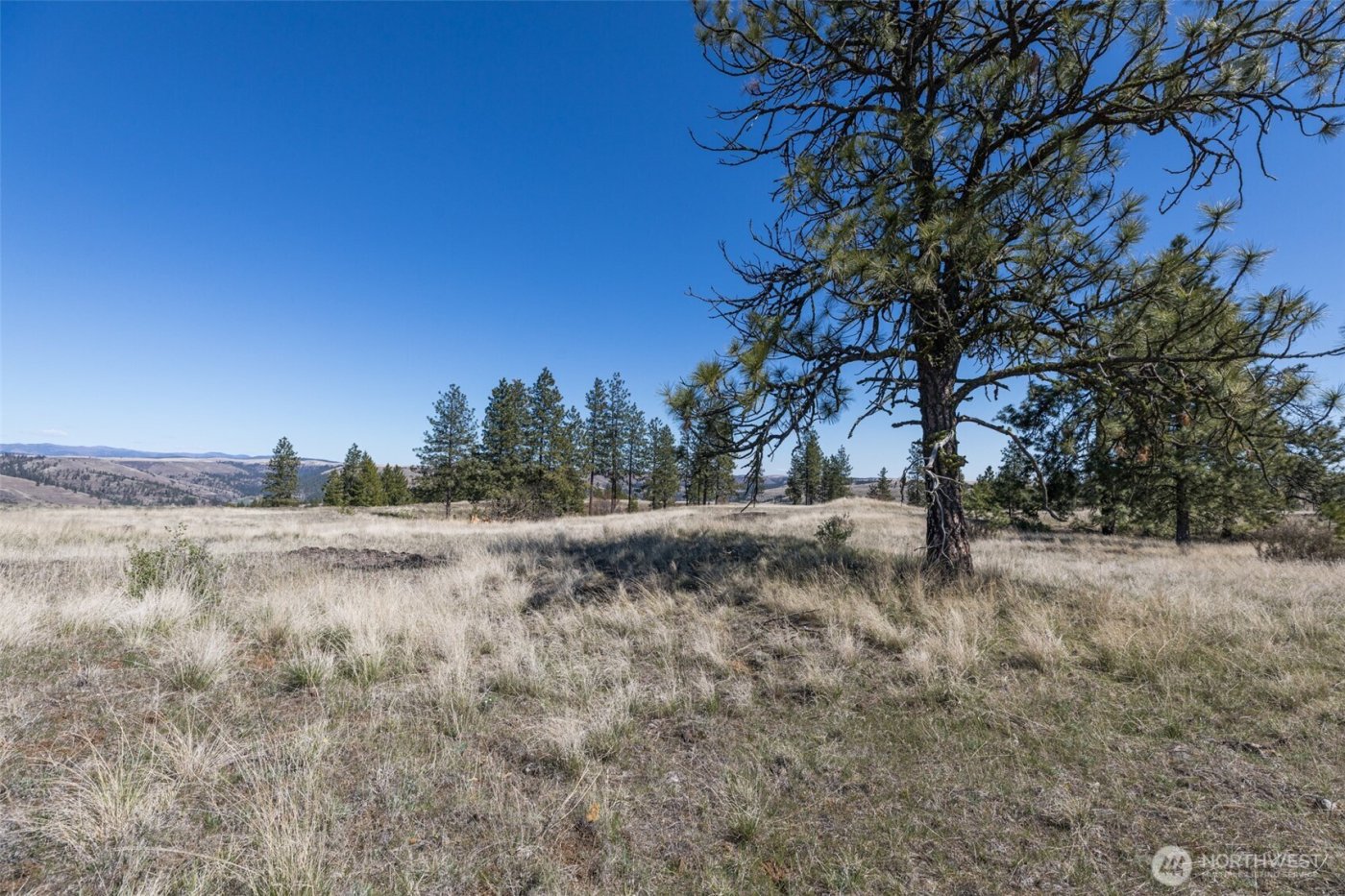 0 XXX Miles Creston Road N, Davenport, WA 99122