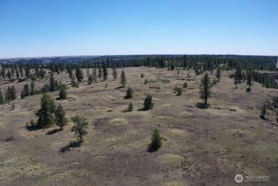 0 XXX Miles Creston Road N, Davenport, WA 99122 - Photo 18