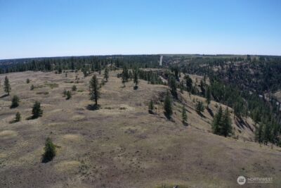 0 XXX Miles Creston Road N, Davenport, WA 99122 - Photo 19