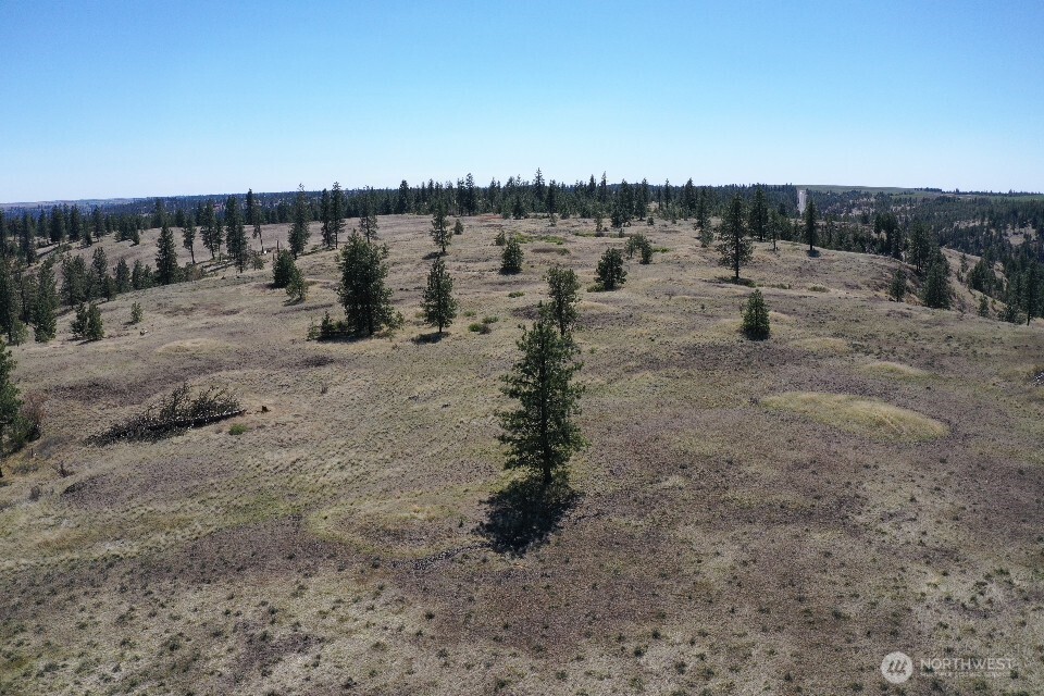 0 XXX Miles Creston Road N, Davenport, WA 99122