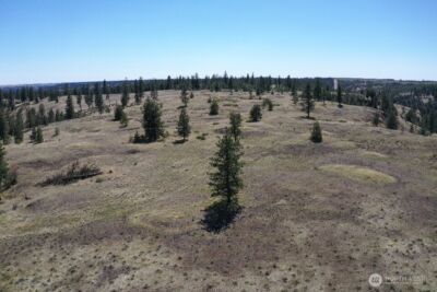 0 XXX Miles Creston Road N, Davenport, WA 99122 - Photo 20