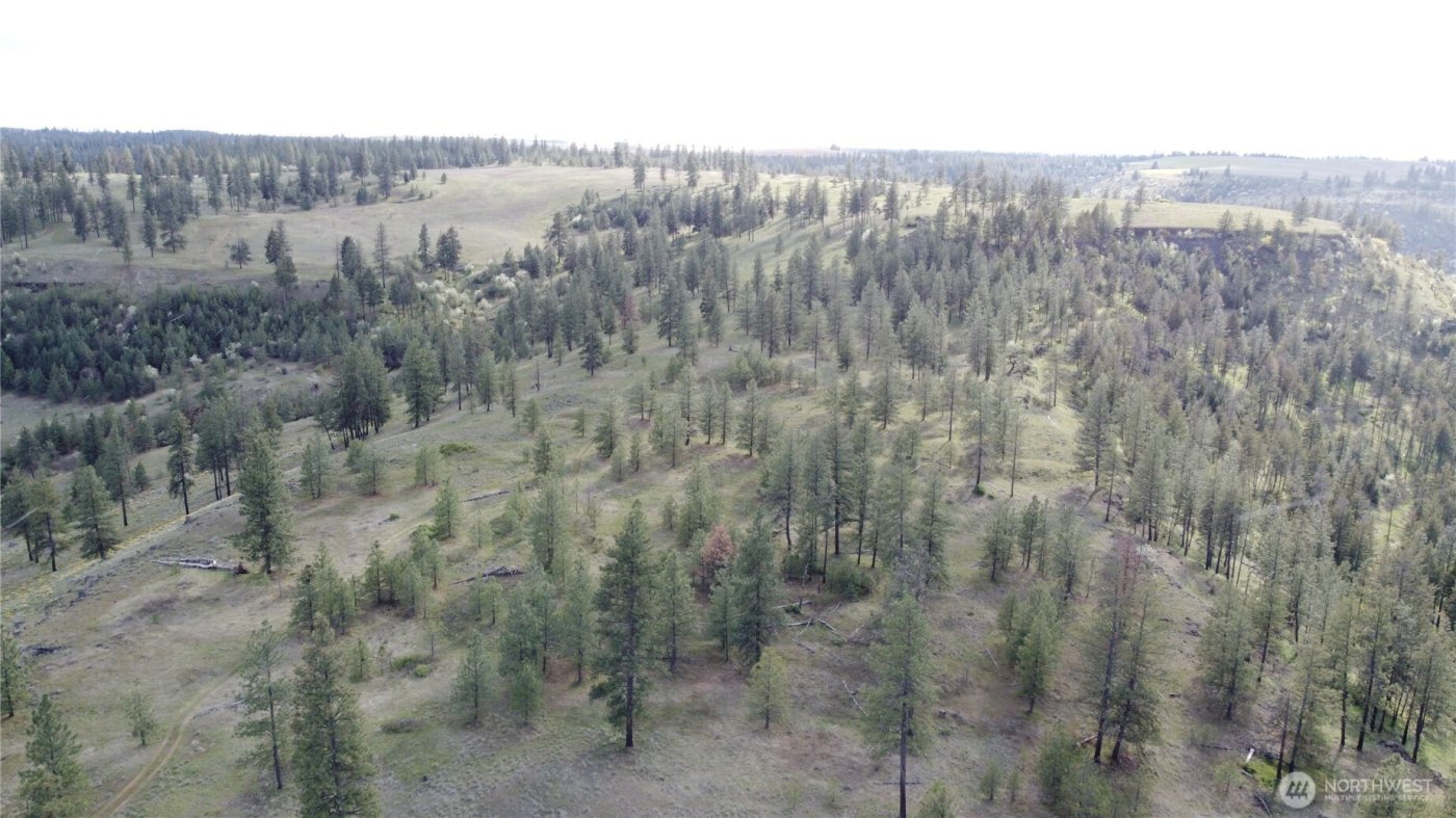 0 XXX Miles Creston Road N, Davenport, WA 99122