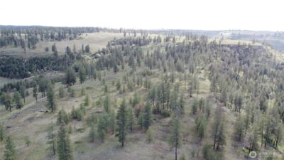 0 XXX Miles Creston Road N, Davenport, WA 99122 - Photo 6