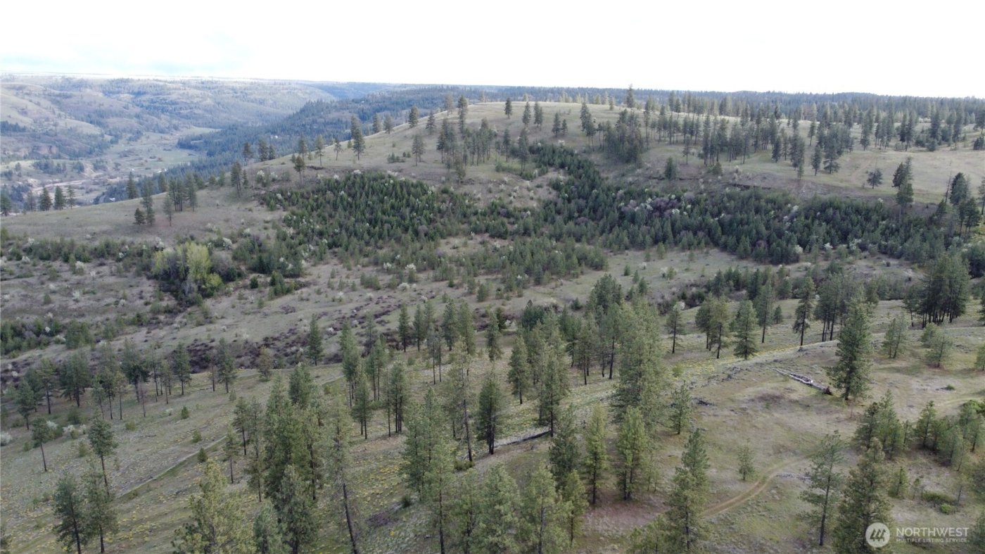 0 XXX Miles Creston Road N, Davenport, WA 99122