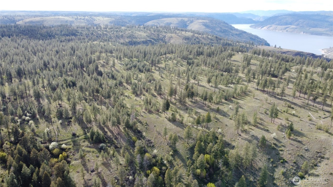 0 XXX Miles Creston Road N, Davenport, WA 99122