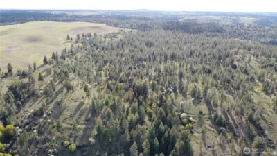 0 XXX Miles Creston Road N, Davenport, WA 99122 - Photo 10