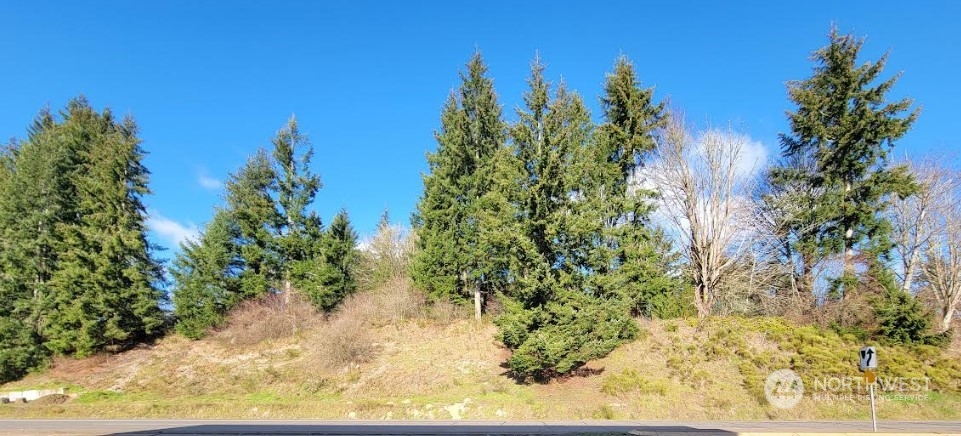 120 Pattison Street NE, Olympia, WA 98506