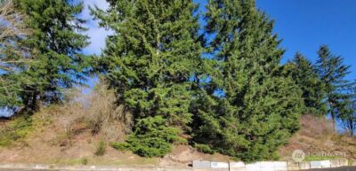 120 Pattison Street NE, Olympia, WA 98506 - Photo 2