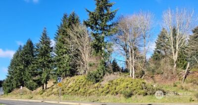 120 Pattison Street NE, Olympia, WA 98506 - Photo 3